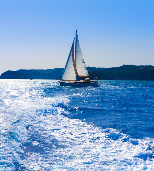 Excursions and tours